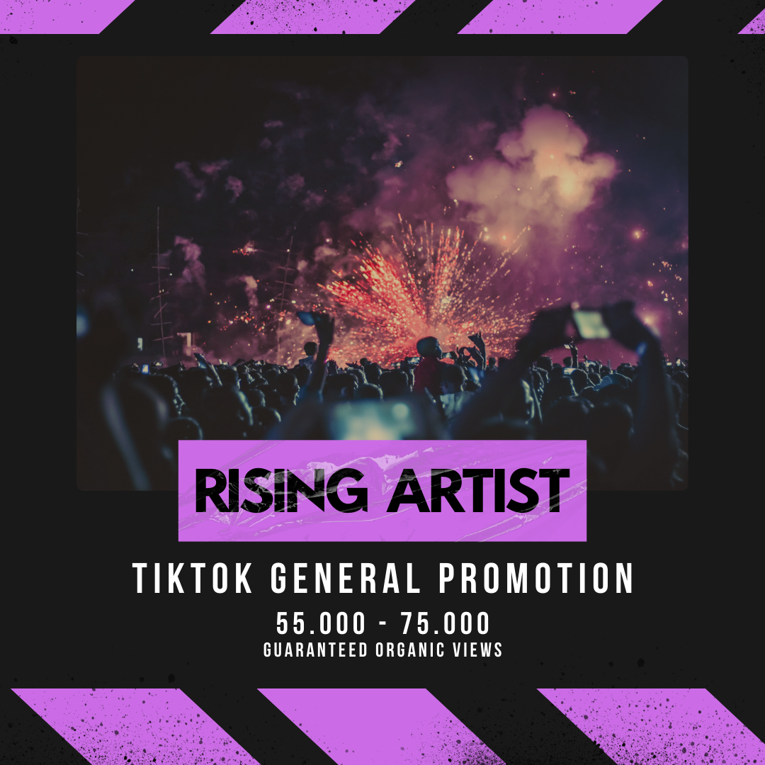 TikTok General Promotion - Rising Artist